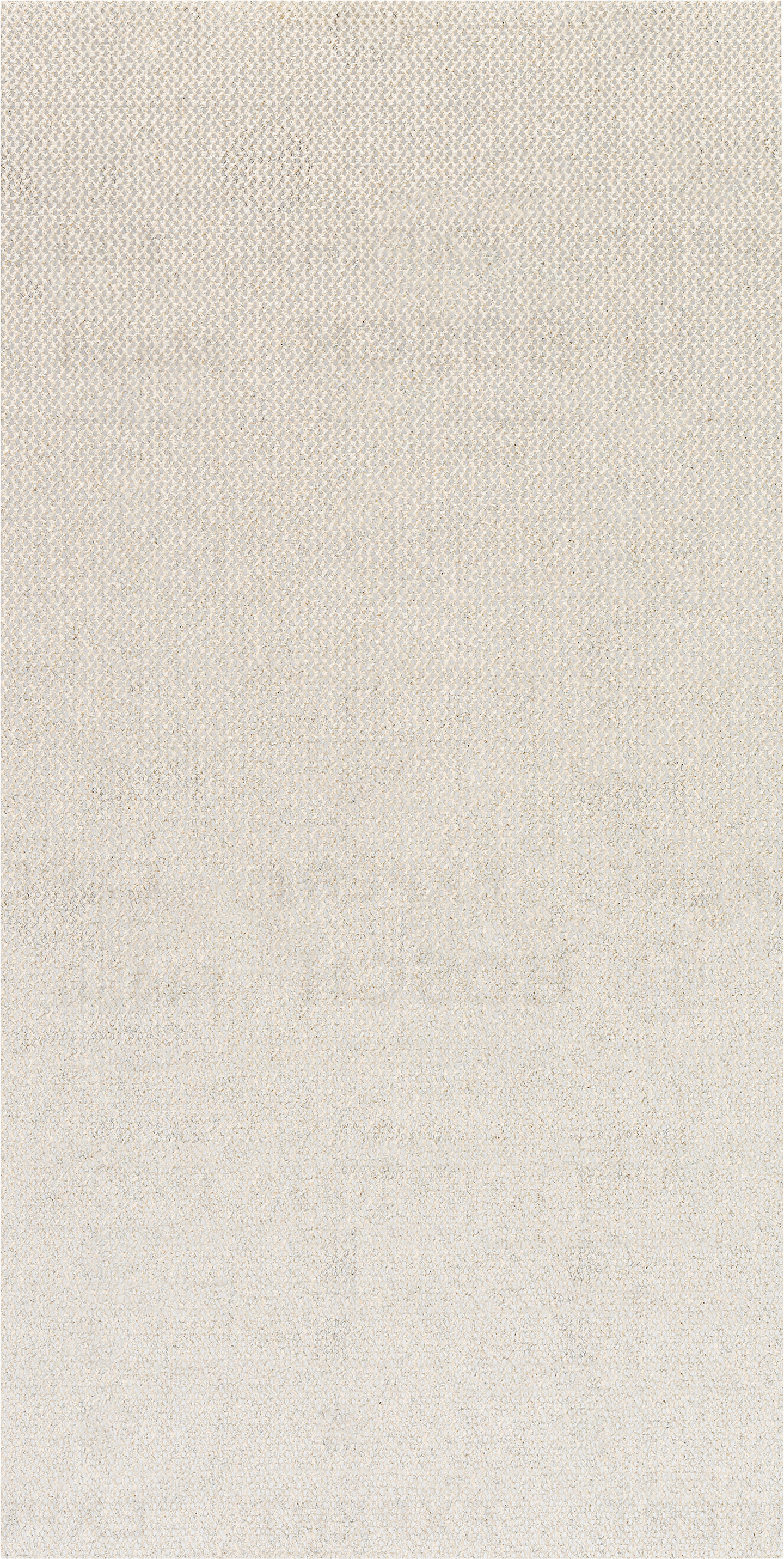 Hiomaverkko tasohiomakoneille Bosch EXPERT M480, 115 x 230 mm, G 80, 50 kpl