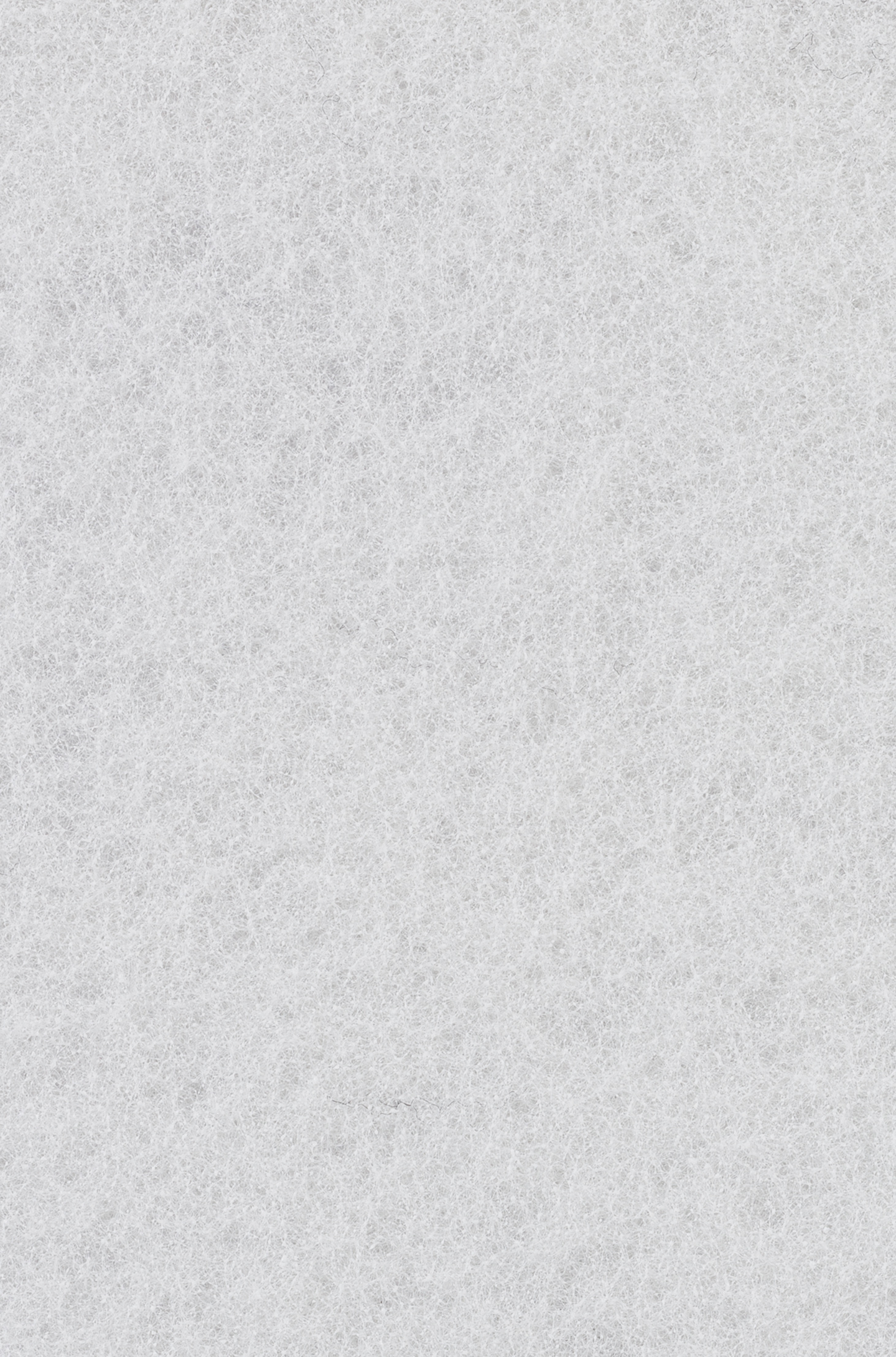 Karhunkielityyny Bosch Expert N880 152x229mm puhdistus