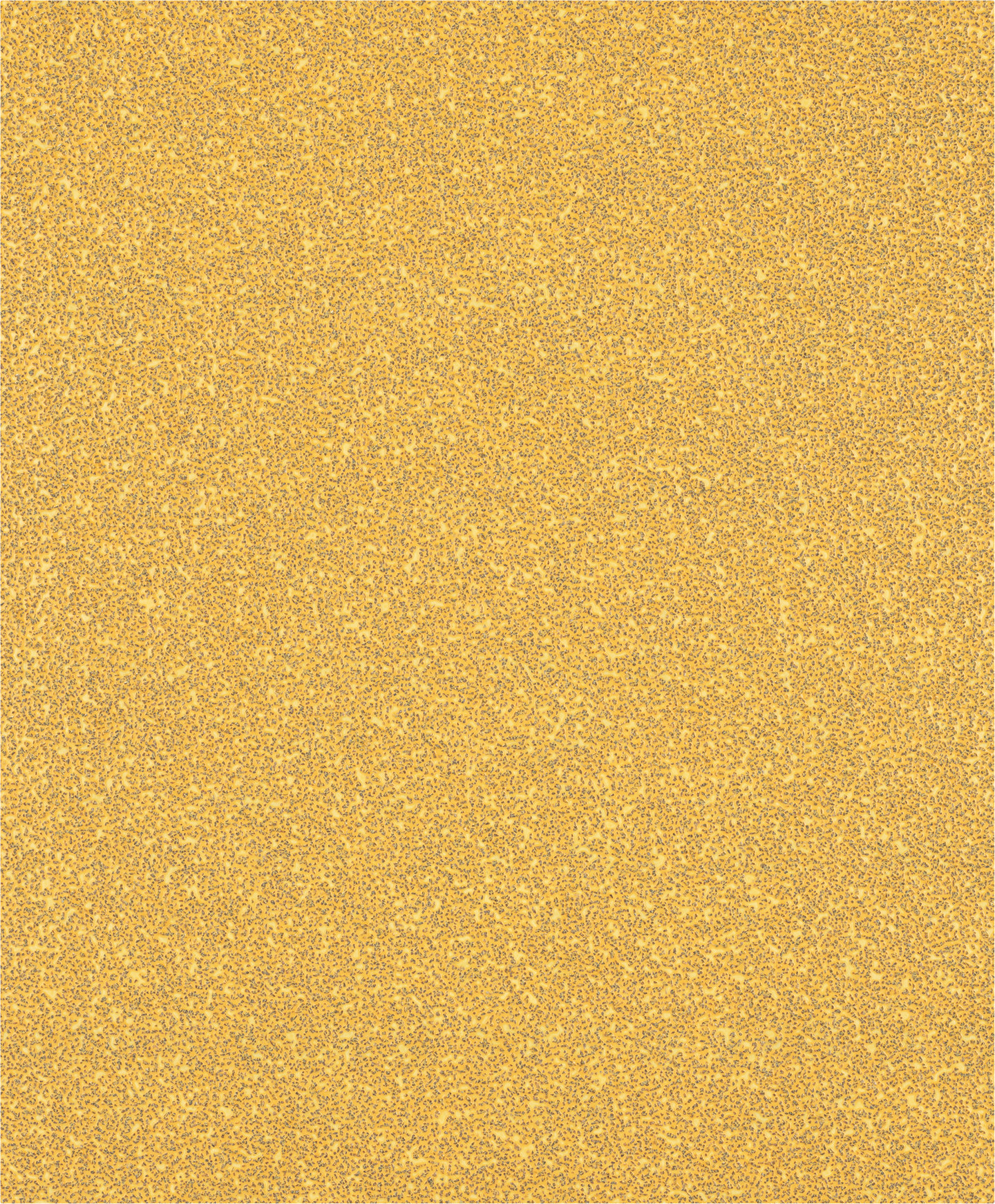 Hiomapaperirulla käsinhiontaan Bosch EXPERT C470, 230 x 280 mm, G 40