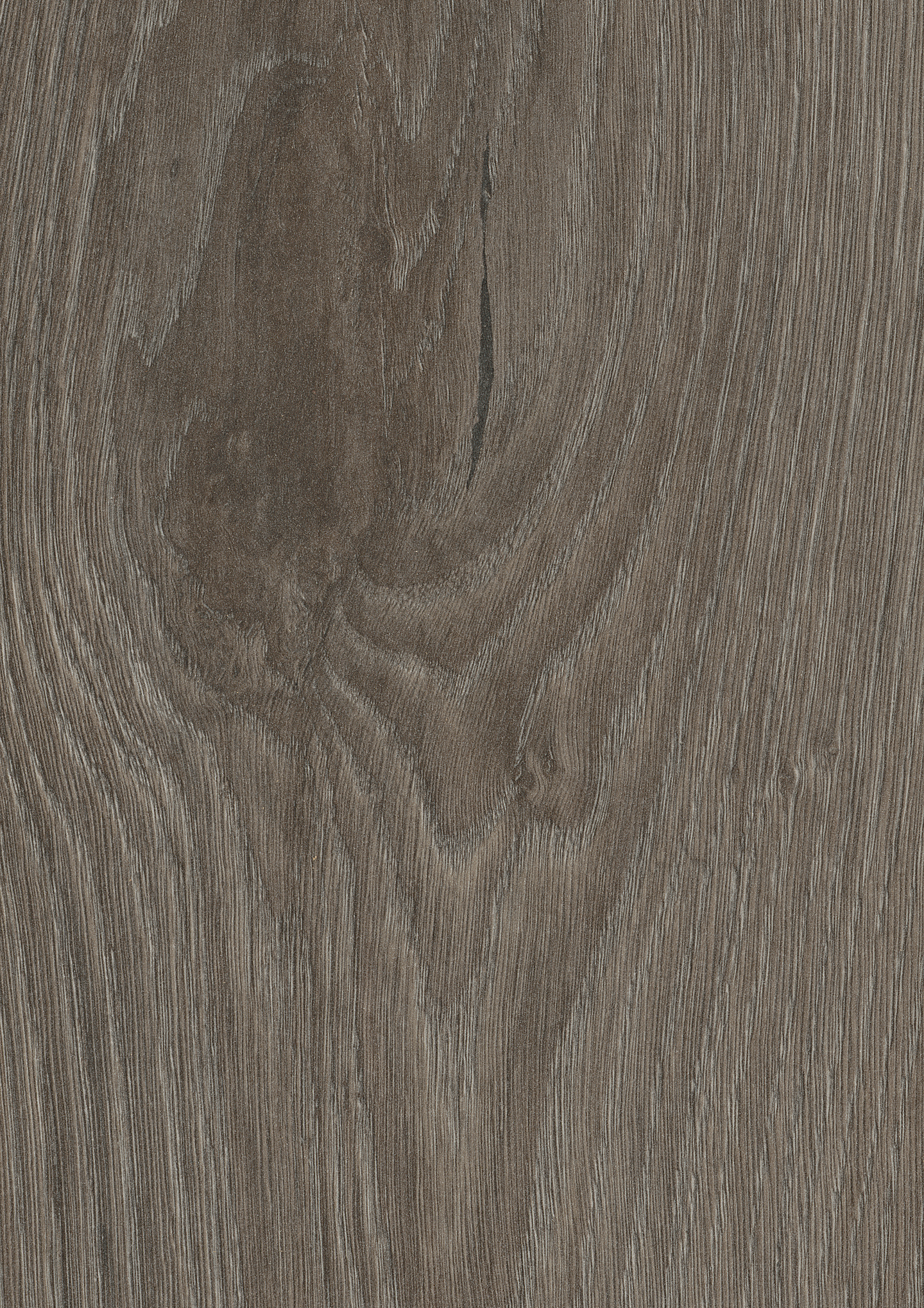 Laminaatti Cello 8mm KL32 Aeolus K415 tammi 2,26m²