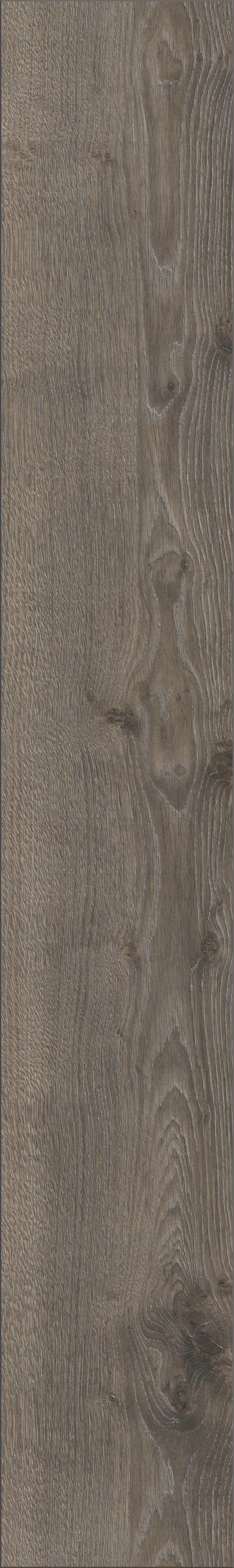 Laminaatti Cello 8mm KL32 Aeolus K415 tammi 2,26m²