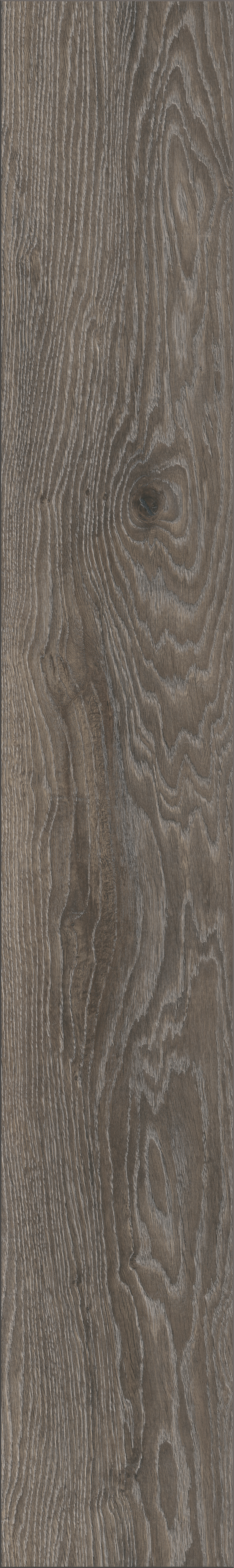 Laminaatti Cello 8mm KL32 Aeolus K415 tammi 2,26m²