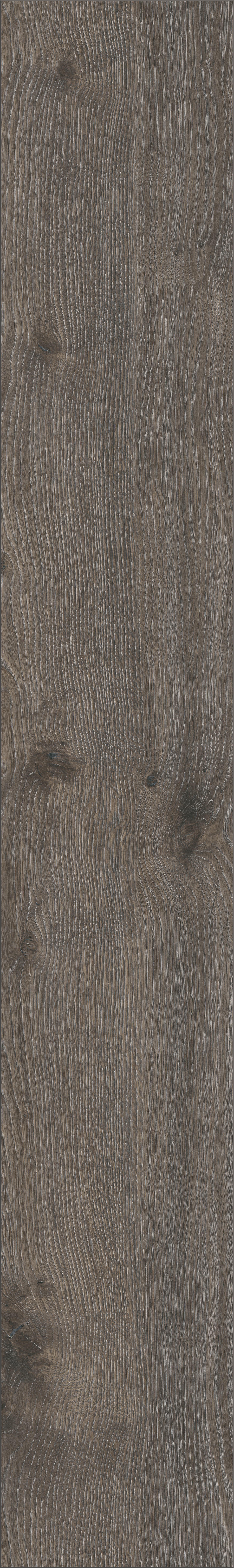 Laminaatti Cello 8mm KL32 Aeolus K415 tammi 2,26m²