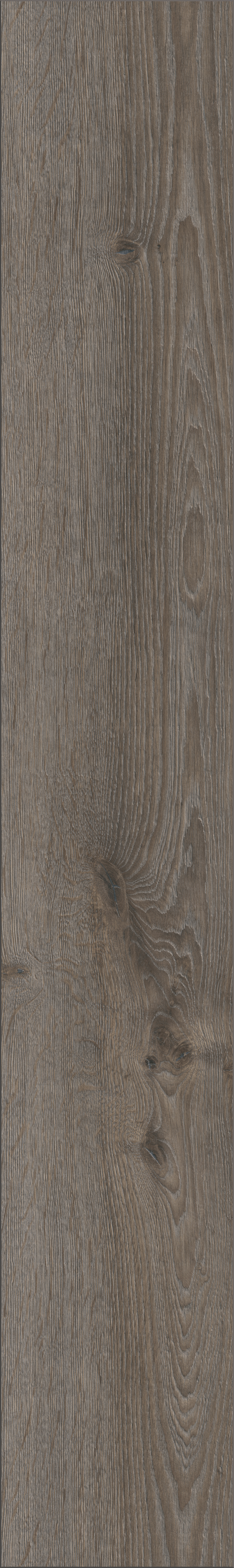 Laminaatti Cello 8mm KL32 Aeolus K415 tammi 2,26m²