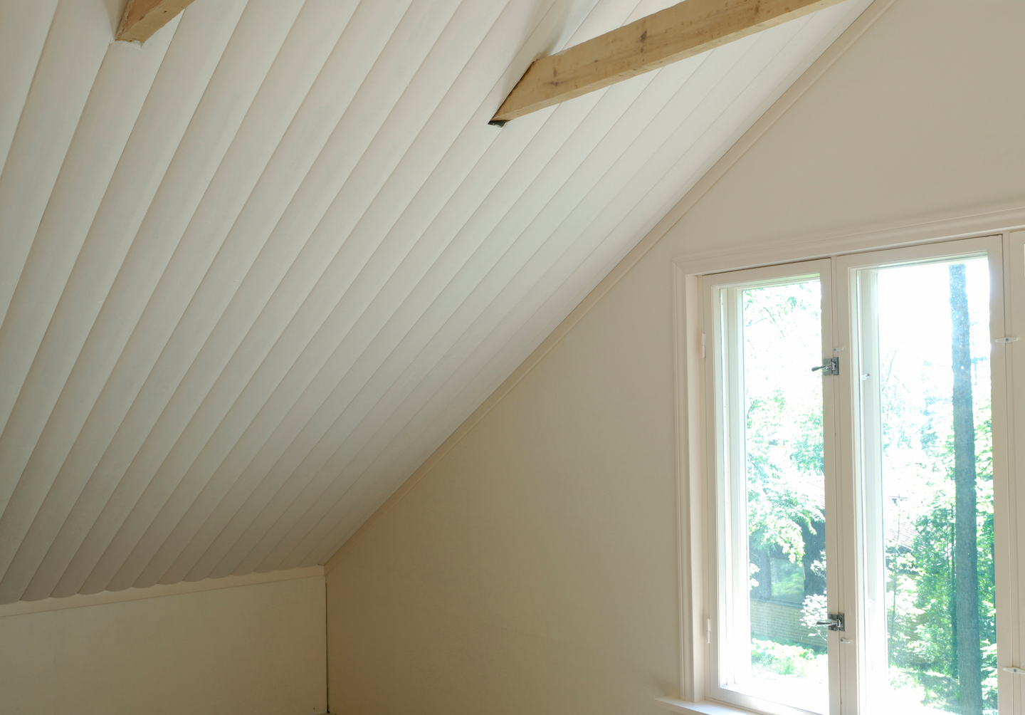 Paneelikatto Valkoinen Sisäkattomaali