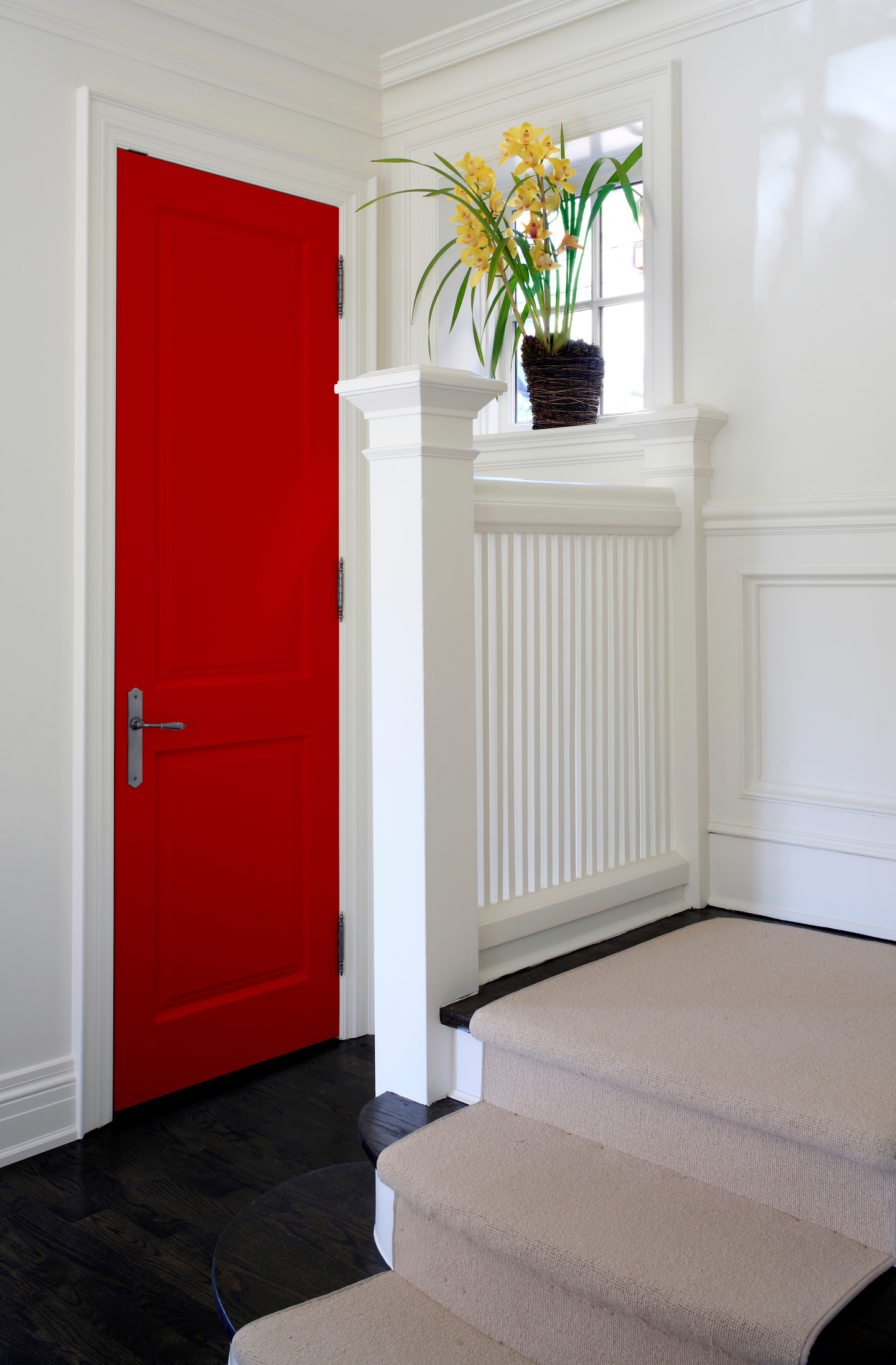 Futura Aqua 80 Kalustemaali 0,9l kiiltävä PM3 sävytettävä