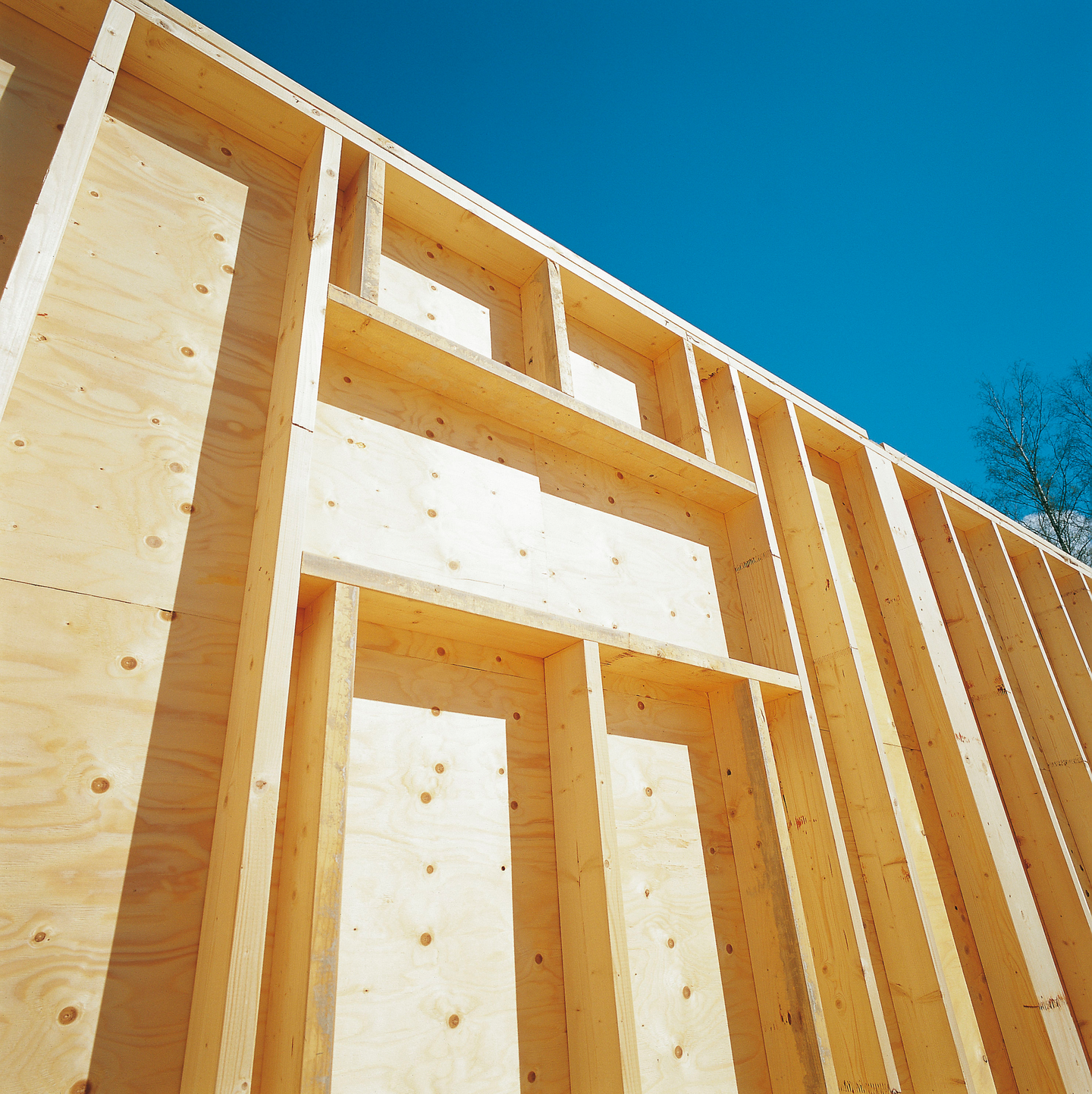 Havuvaneri Metsä Wood Spruce III/III 2400x1200