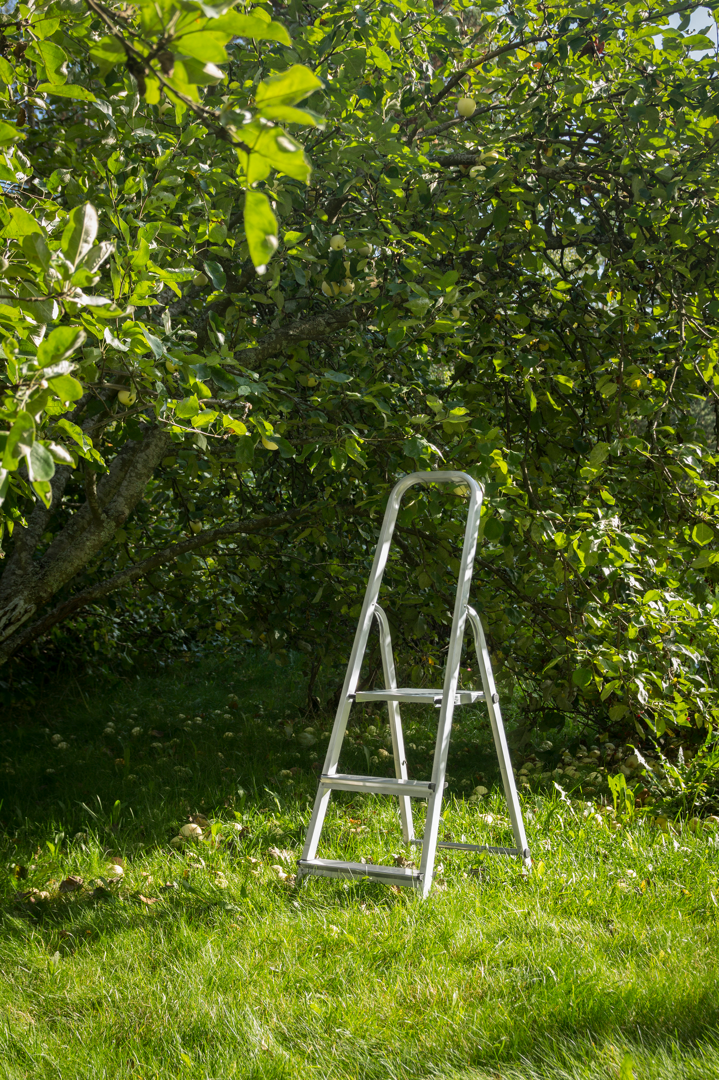 Taloustikas FXA 3-askelmainen alumiinia