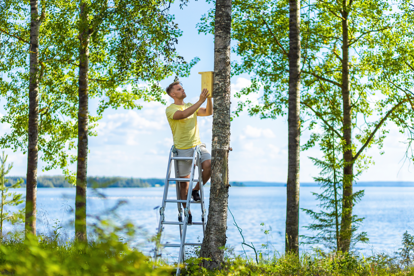 Niveltikas Tikli Hobby 3,6m tasolla