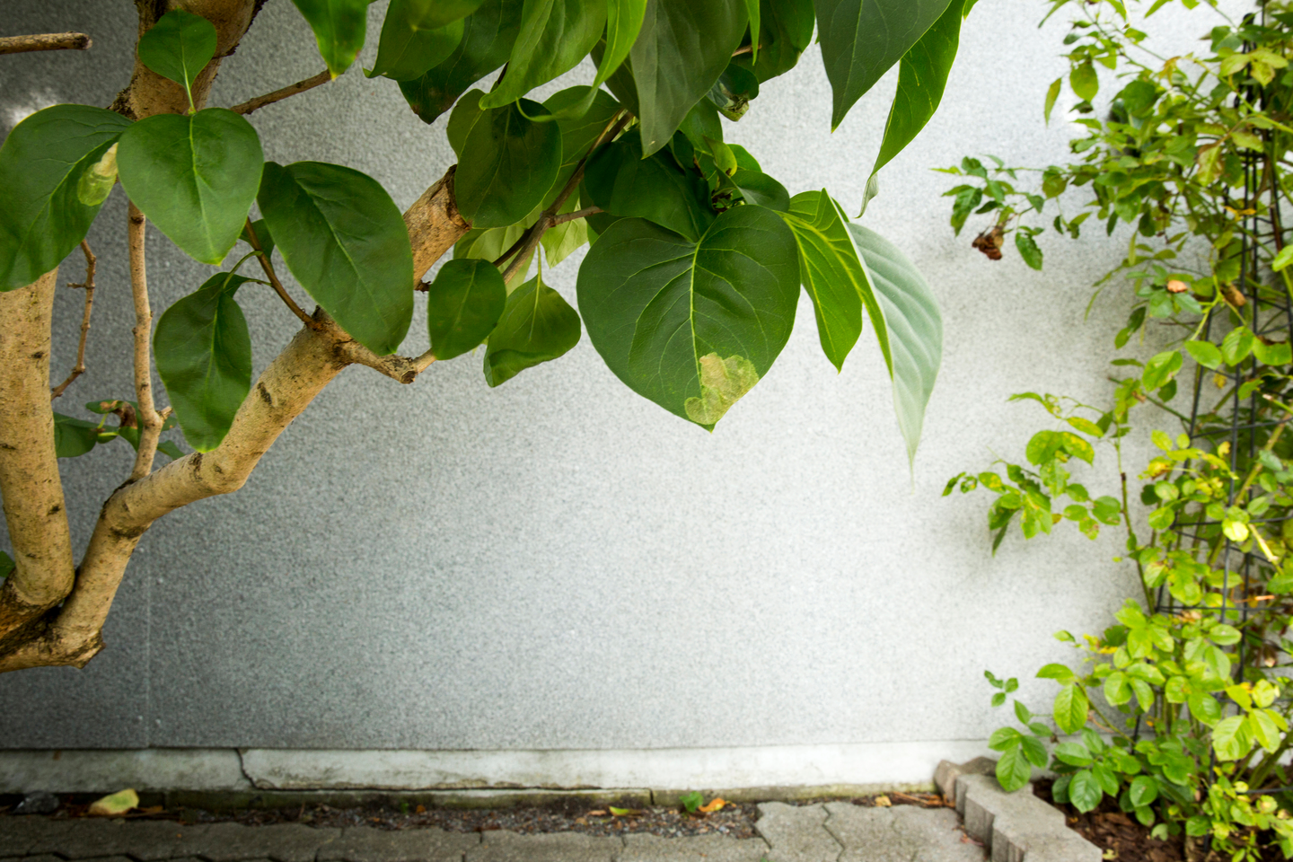 Sokkelilevy Steni 595x2395mm harmaa