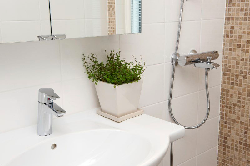 Pesuallashana Oras Cubista 2810