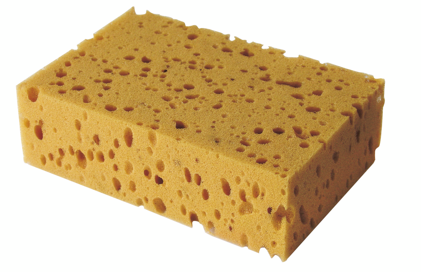 Laatoittajan sieni PROF 16x11x5cm