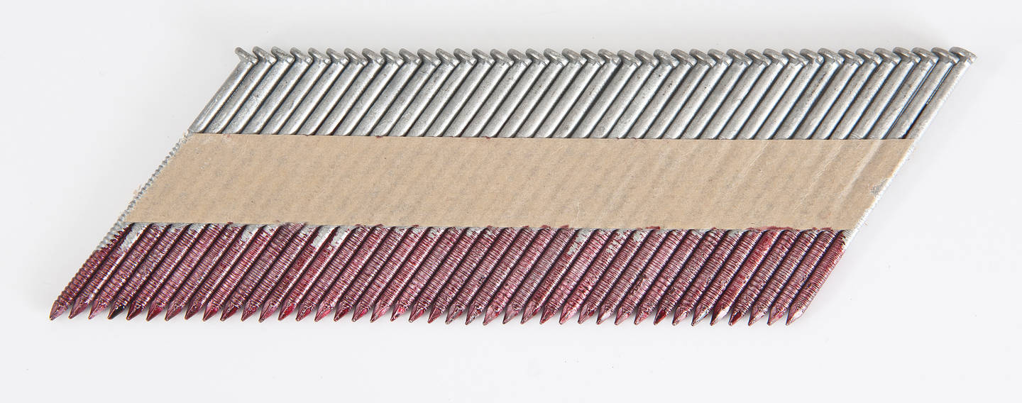 Konenaula Pintos 34 65 x 2,8 ks kampa 520