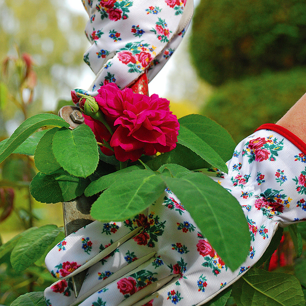 Puutarhakäsineet TEGERA 90014 pukinnahka