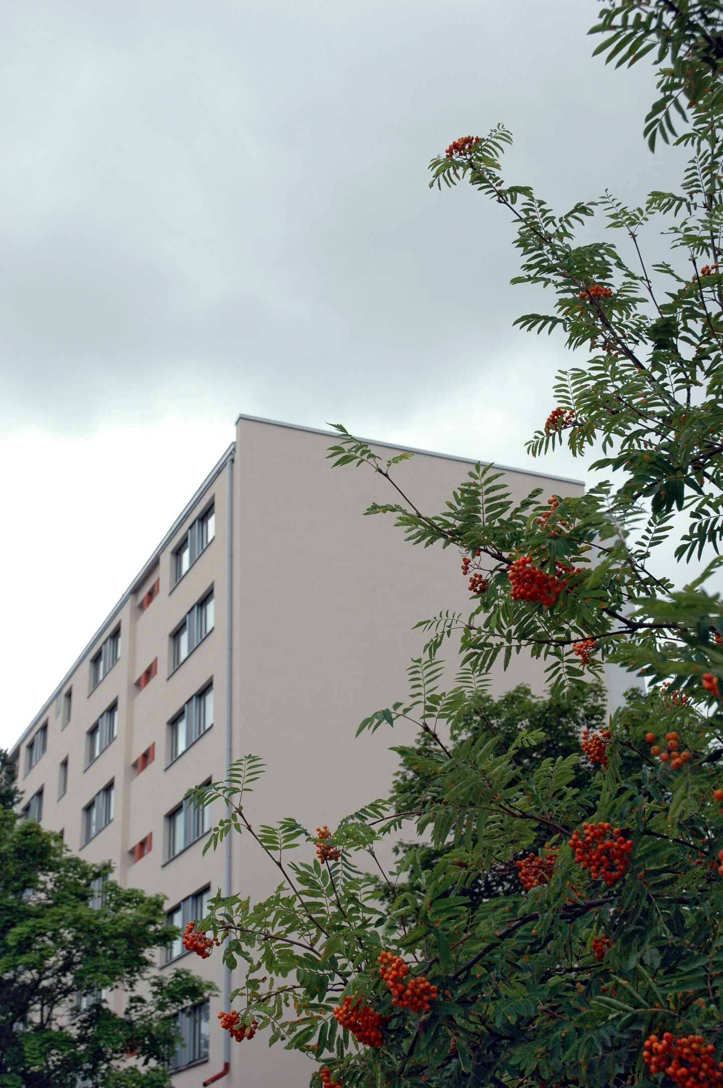 Rappauslevy Swisspearl Permabase 12,5x900x1800mm