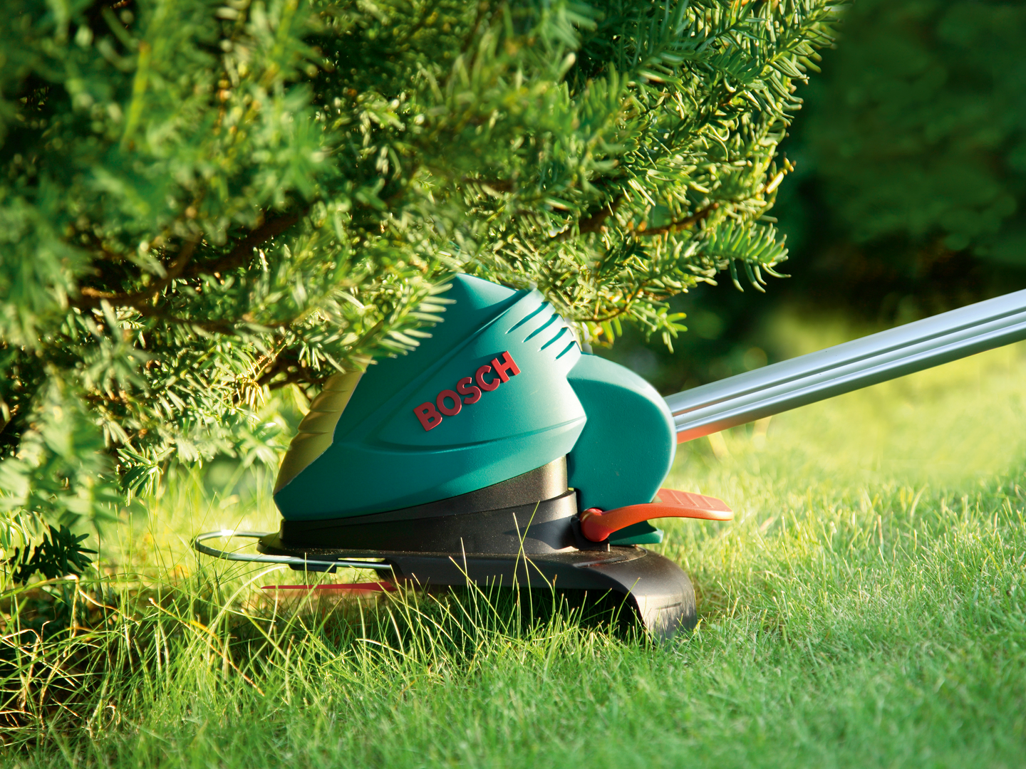 Terä Bosch Clean Cut 23cm 24kpl