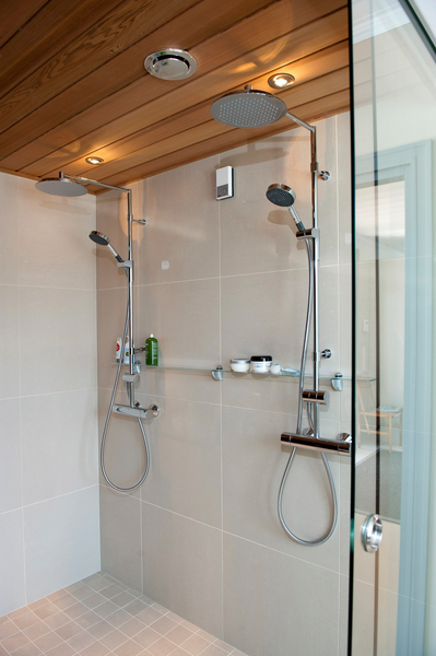 Sadesuihkuhana Oras Cubista 2892 & Hydra