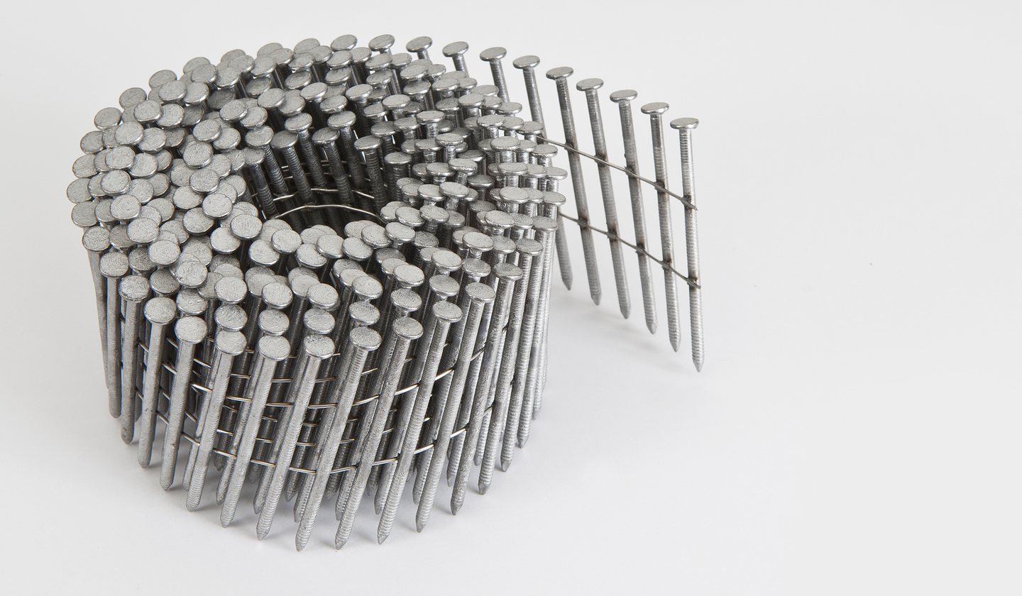 Kampanaula Pintos 16° 60 x 2,5 ks 3000