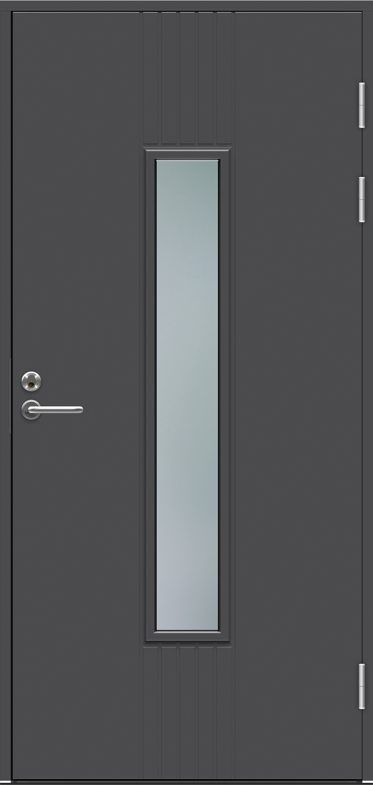 Ulko-ovi Swedoor Function F2050W28 tummanharmaa karmi satiinilasi