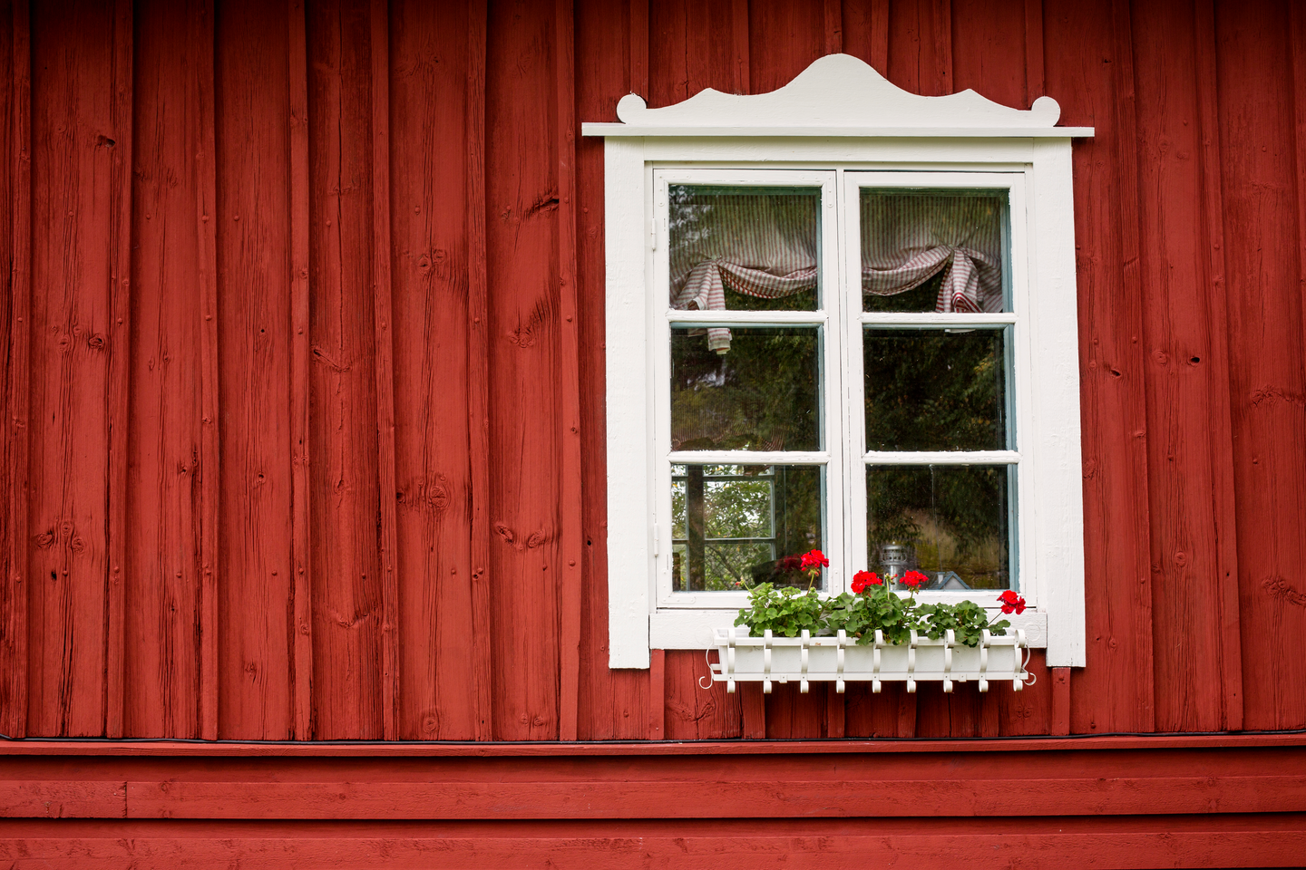 Cello Gård Punamultamaali 10l