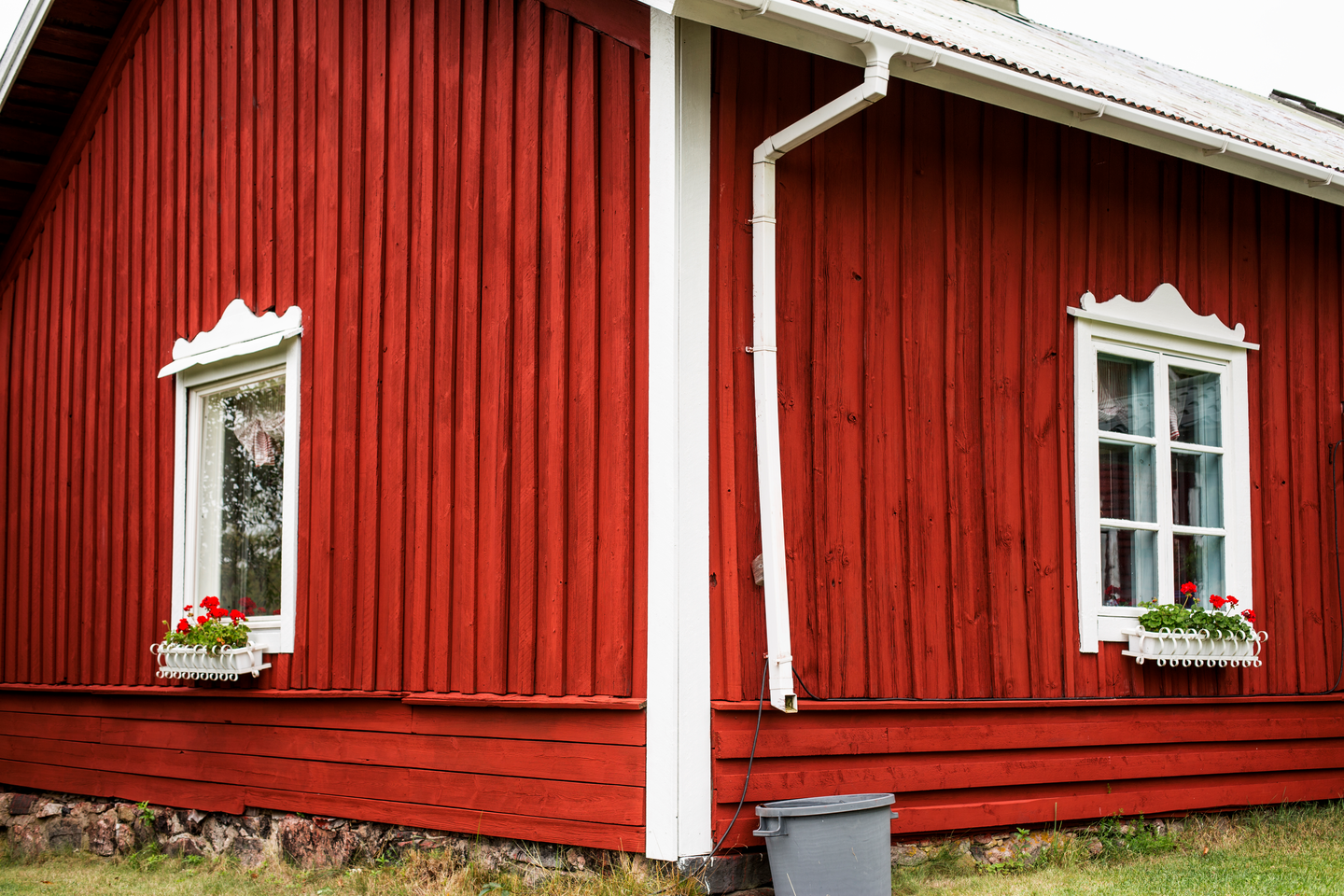 Cello Gård Punamultamaali 10l