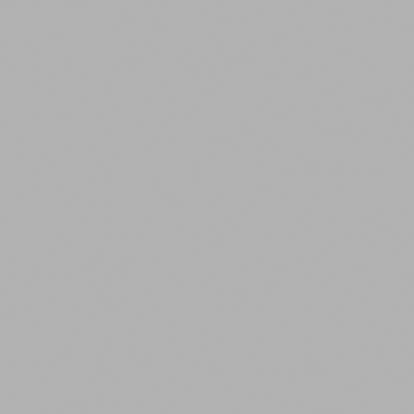 HOBBYFÄRG HERDINS 134 SILVER 100ML