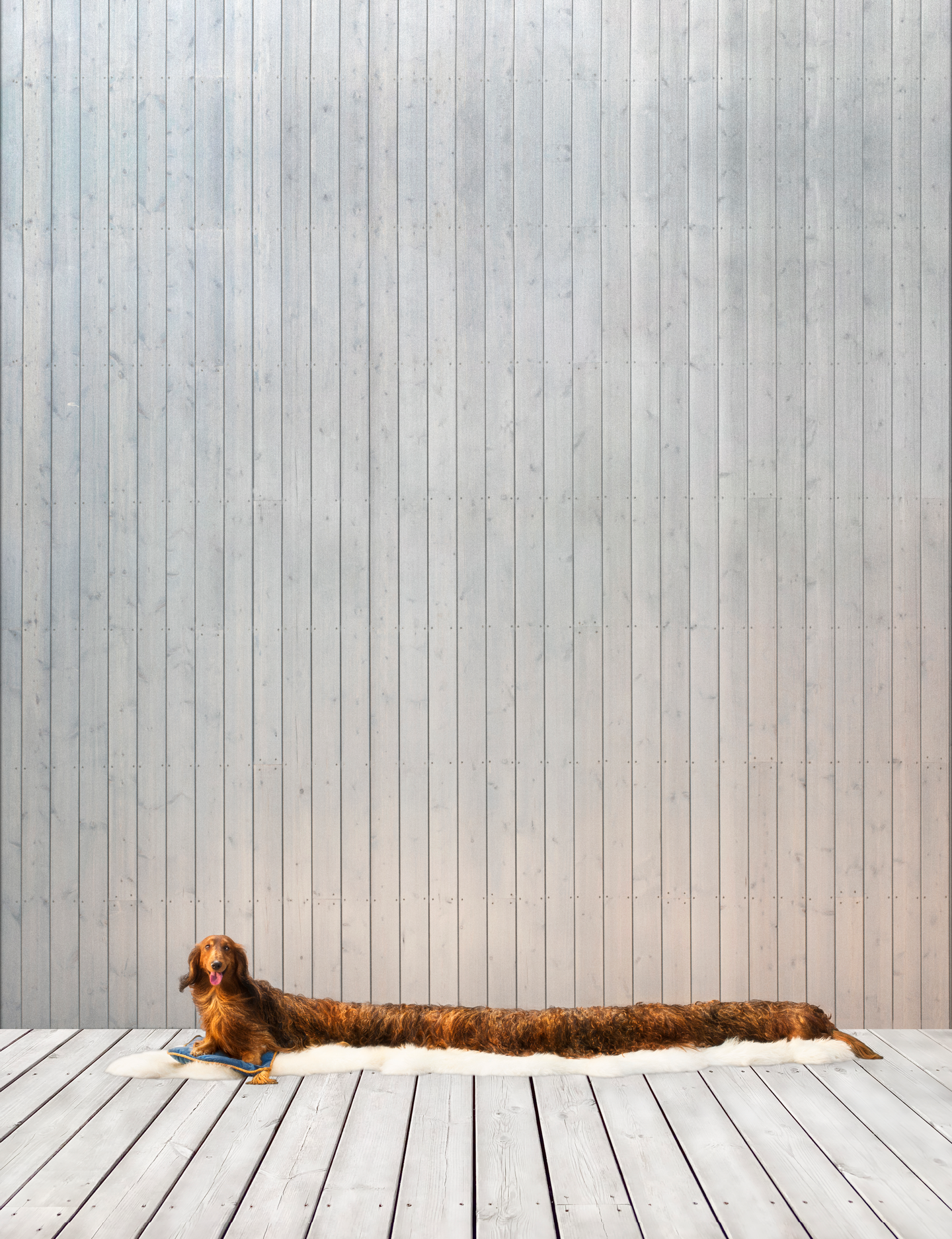 TRÄSKYDD SIOO W P ORIGINAL 3L