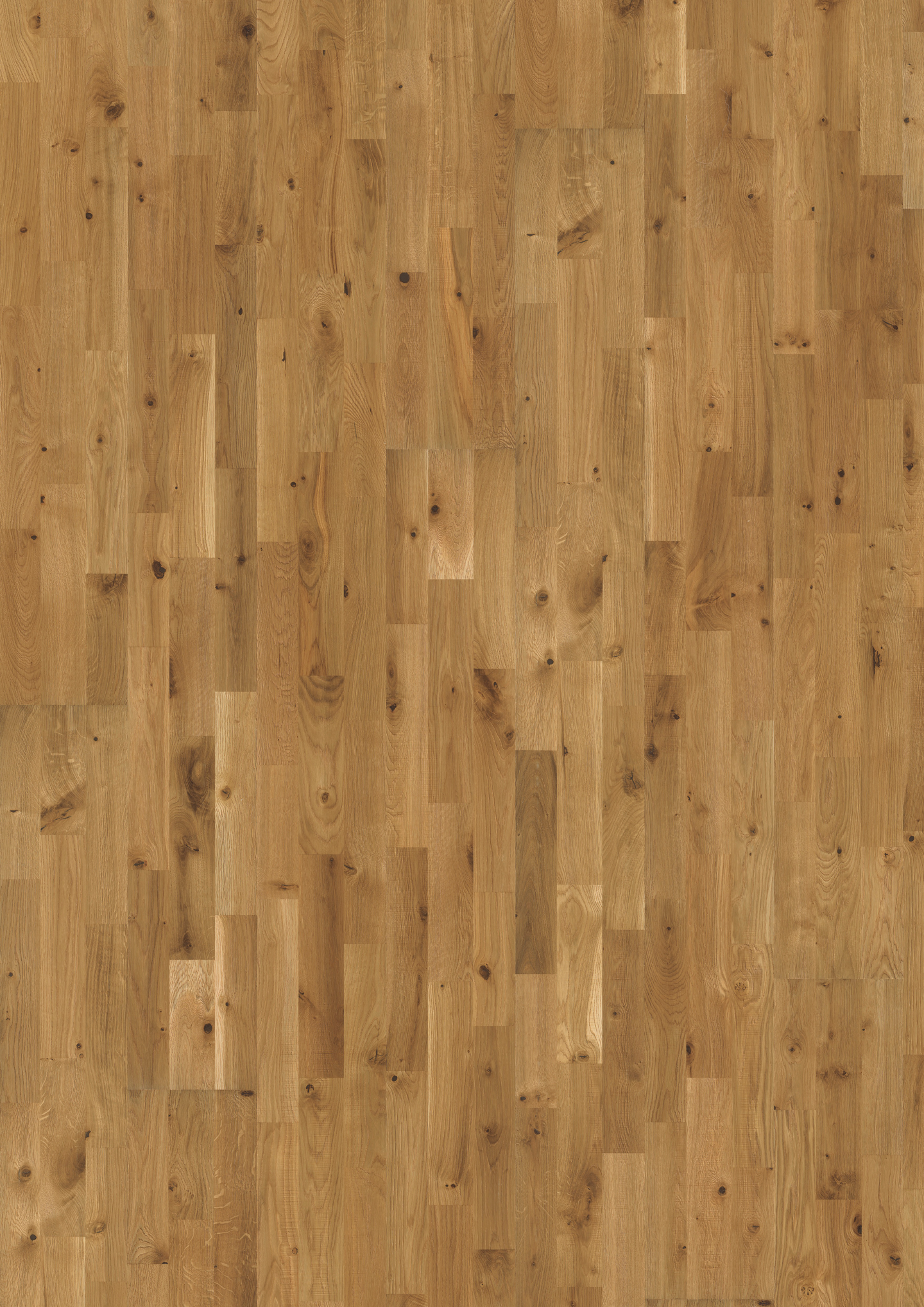 Parketti Kährs tammi boda öljy 3s 2419x196x15