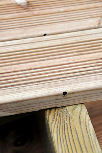 Terassiruuvi CAMO 48x4,2 ProTech-pinnoitettu teräs 350kpl