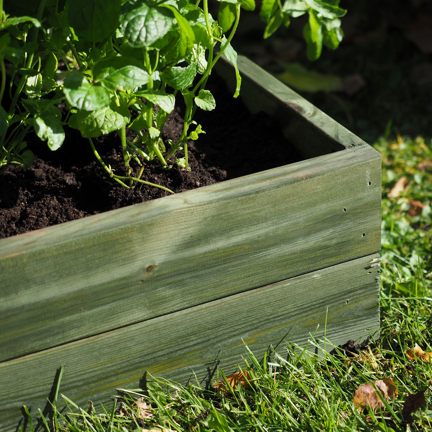 Patio Verso 0,33l metsänvihreä