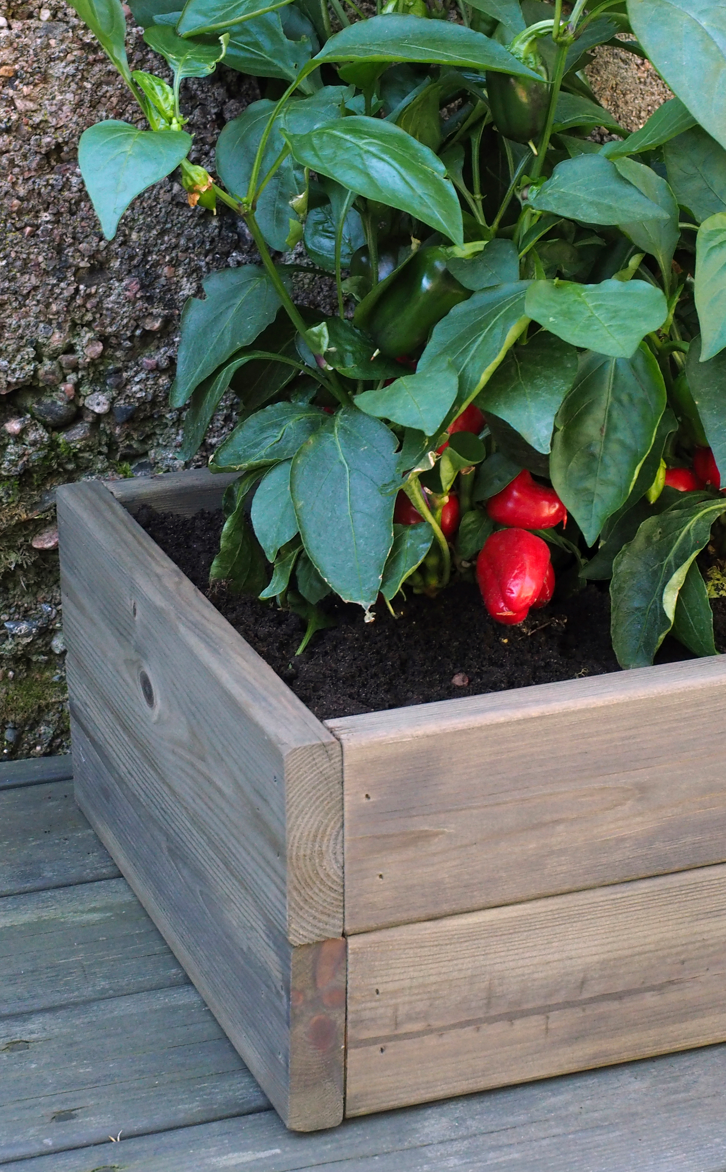 Patio Verso 0,9l metsänvihreä