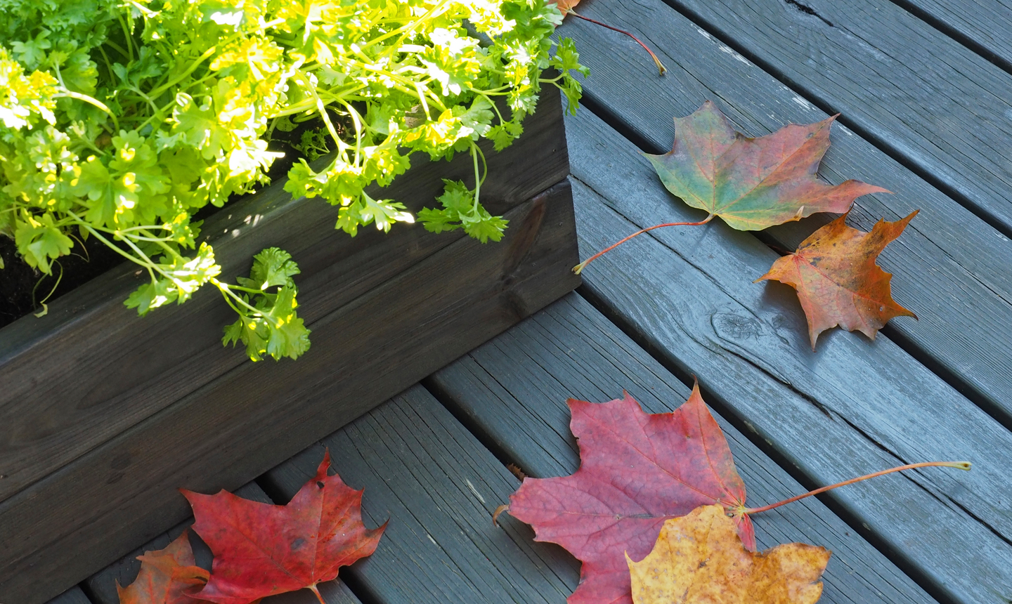 Patio Verso 0,9l metsänvihreä