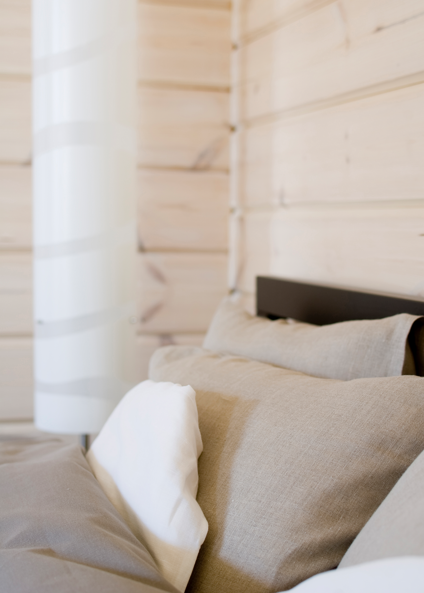 Hirsivaha väritön 9l