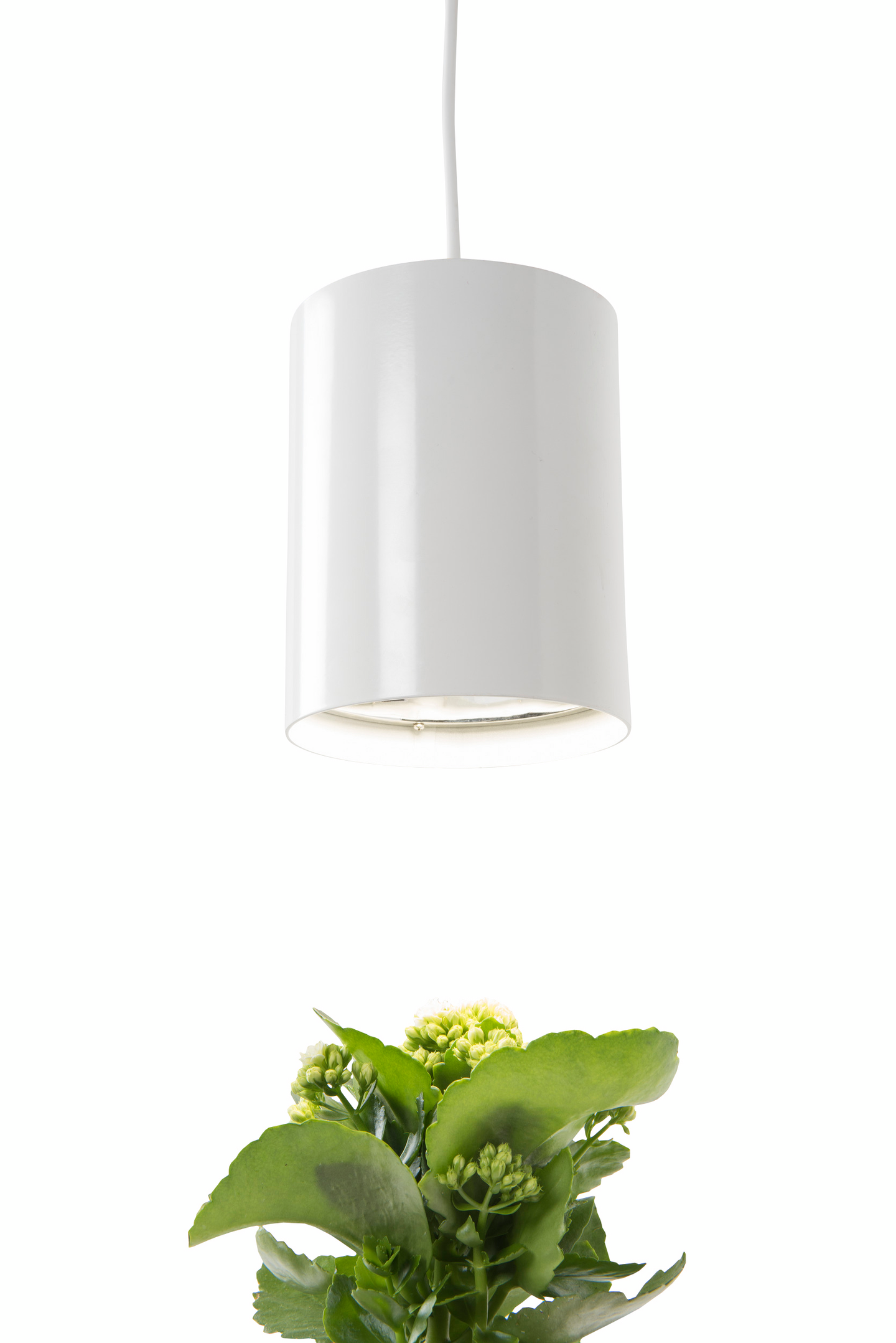 Led-kasvivalaisin Airam Fiora 9,5W/835 valkoinen