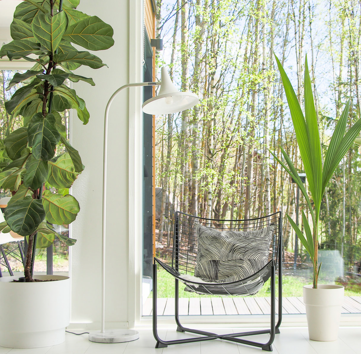 Lattiavalaisin Sessak Lakki mattavalkoinen