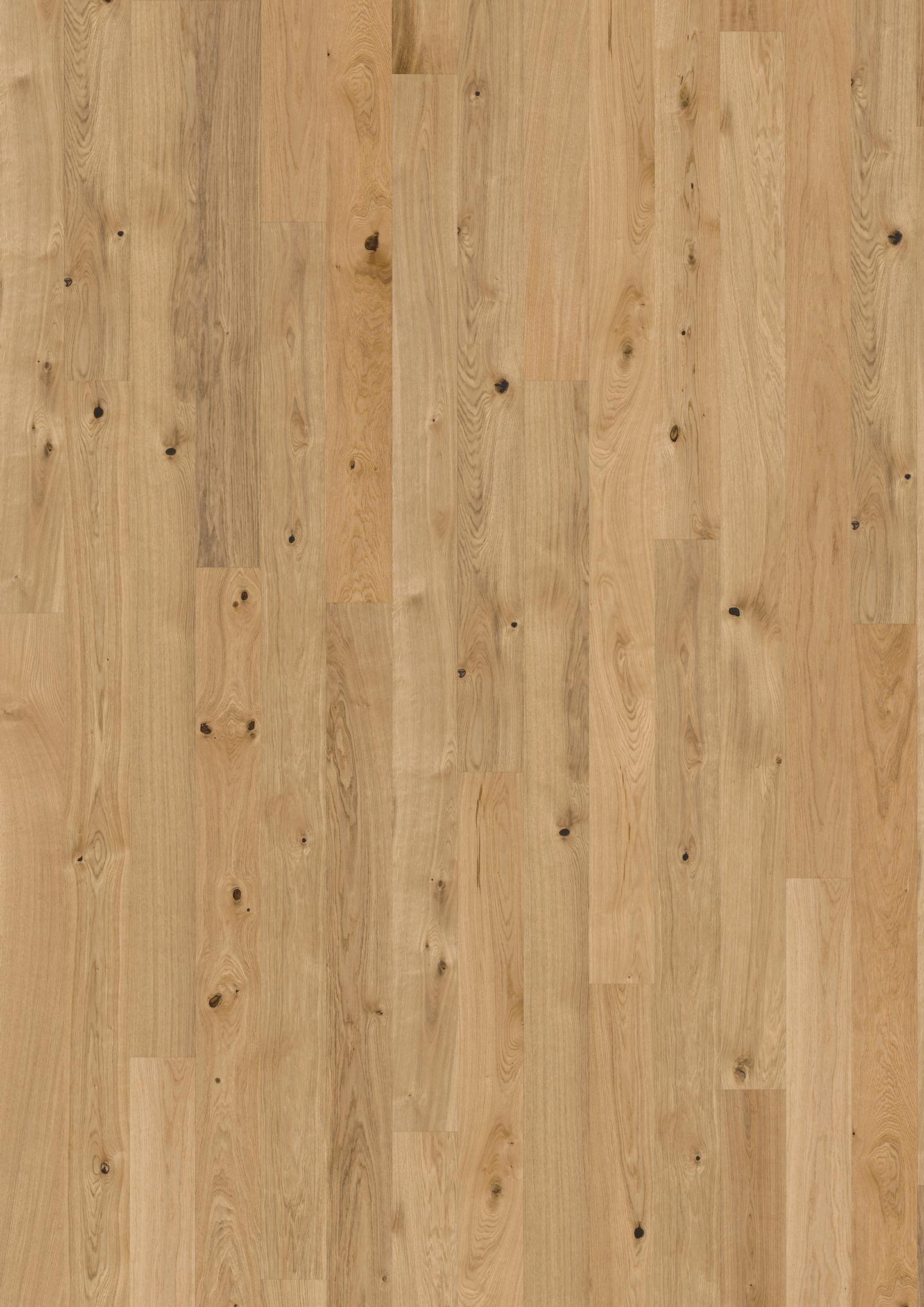 Parketti Kährs Tammi Pure 1S 2420x151x15mm