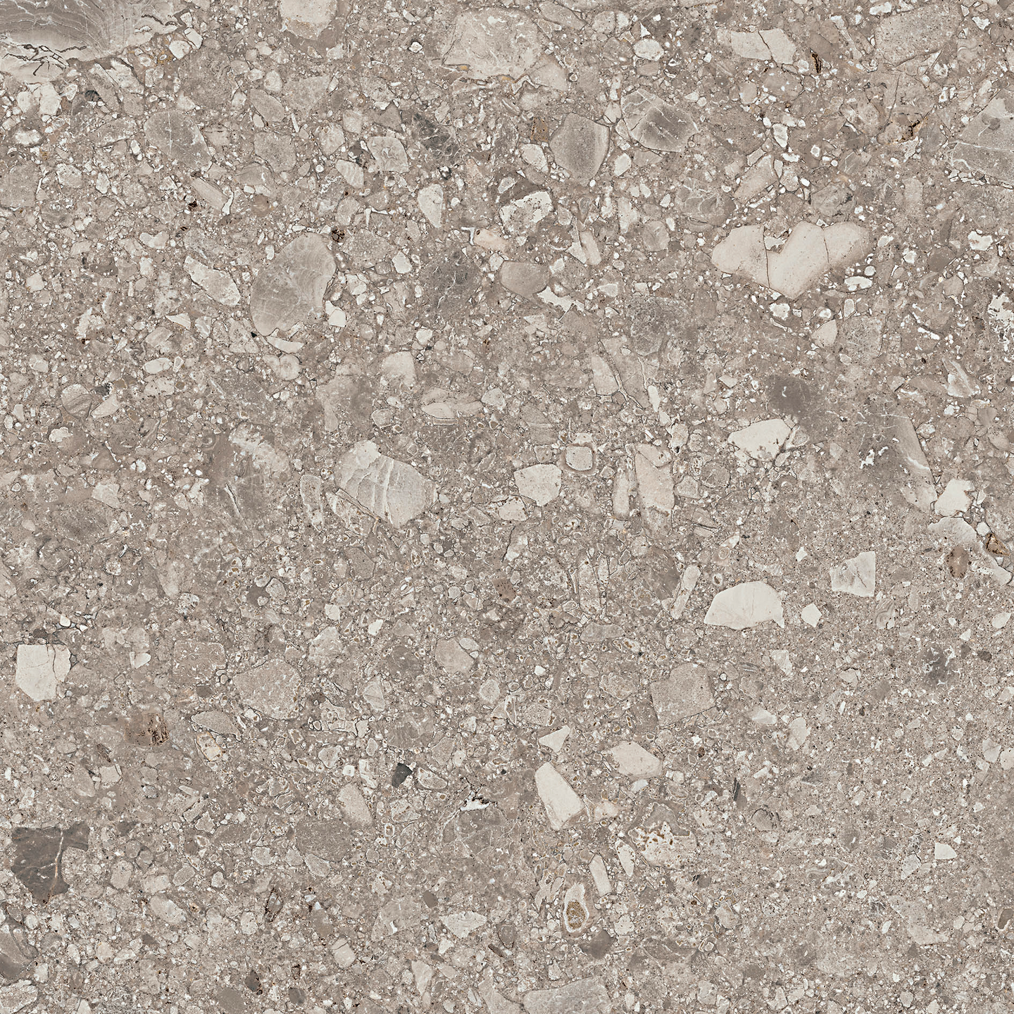 Lattialaatta Cello Ceppo di Gre 60x60 Greige RT 1,08m²