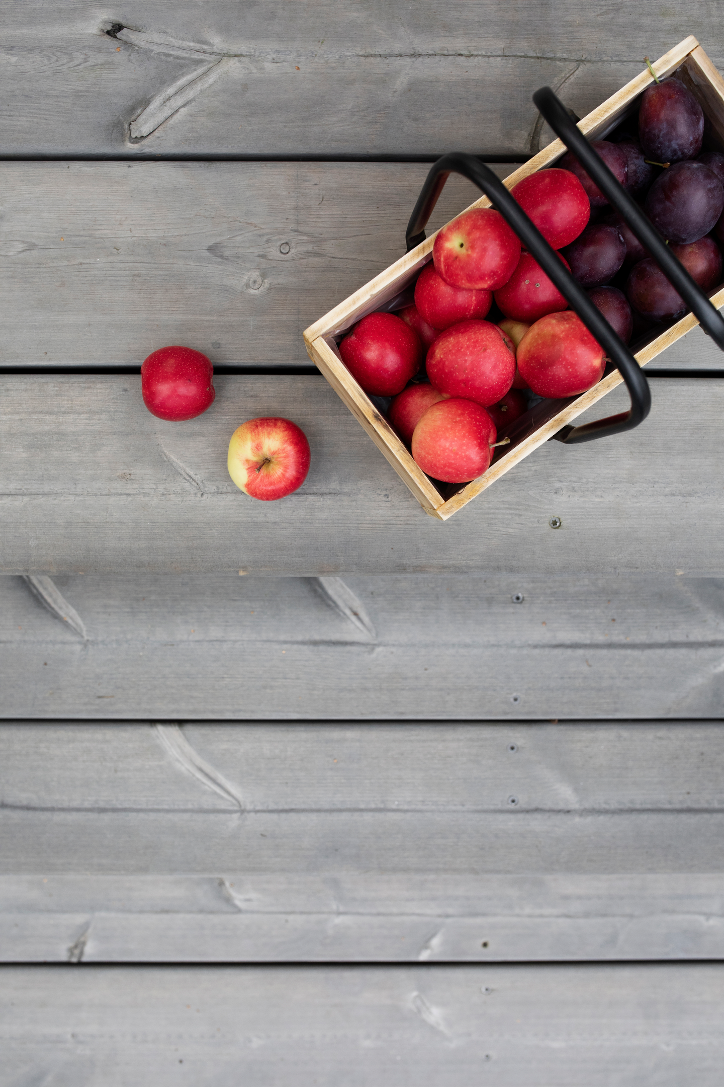 Terassilauta Cello kestopuu harmaa sileä 28x145x3600 NTR/AB