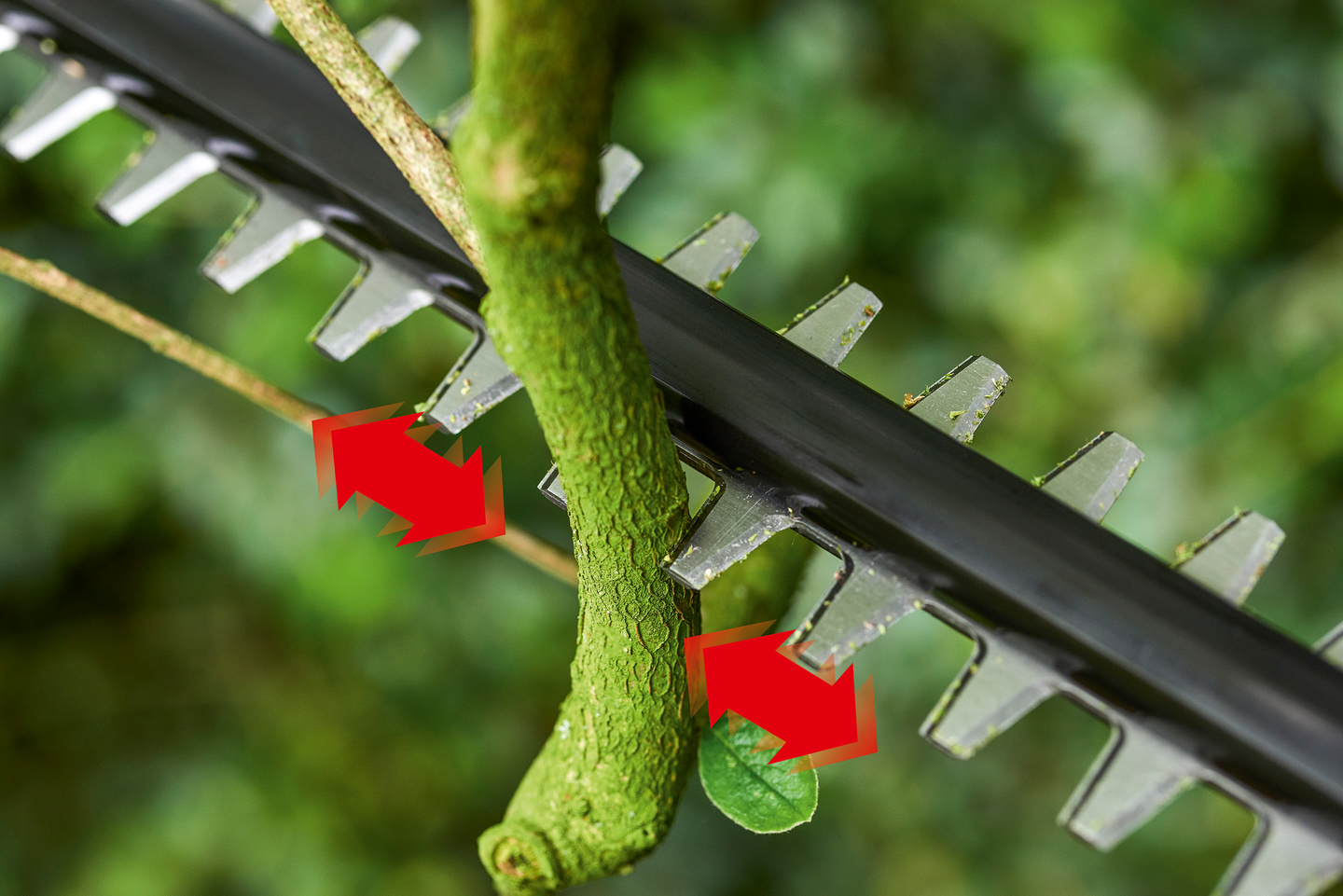 Pensasleikkuri Bosch Universal Hedge Pole 18 Solo