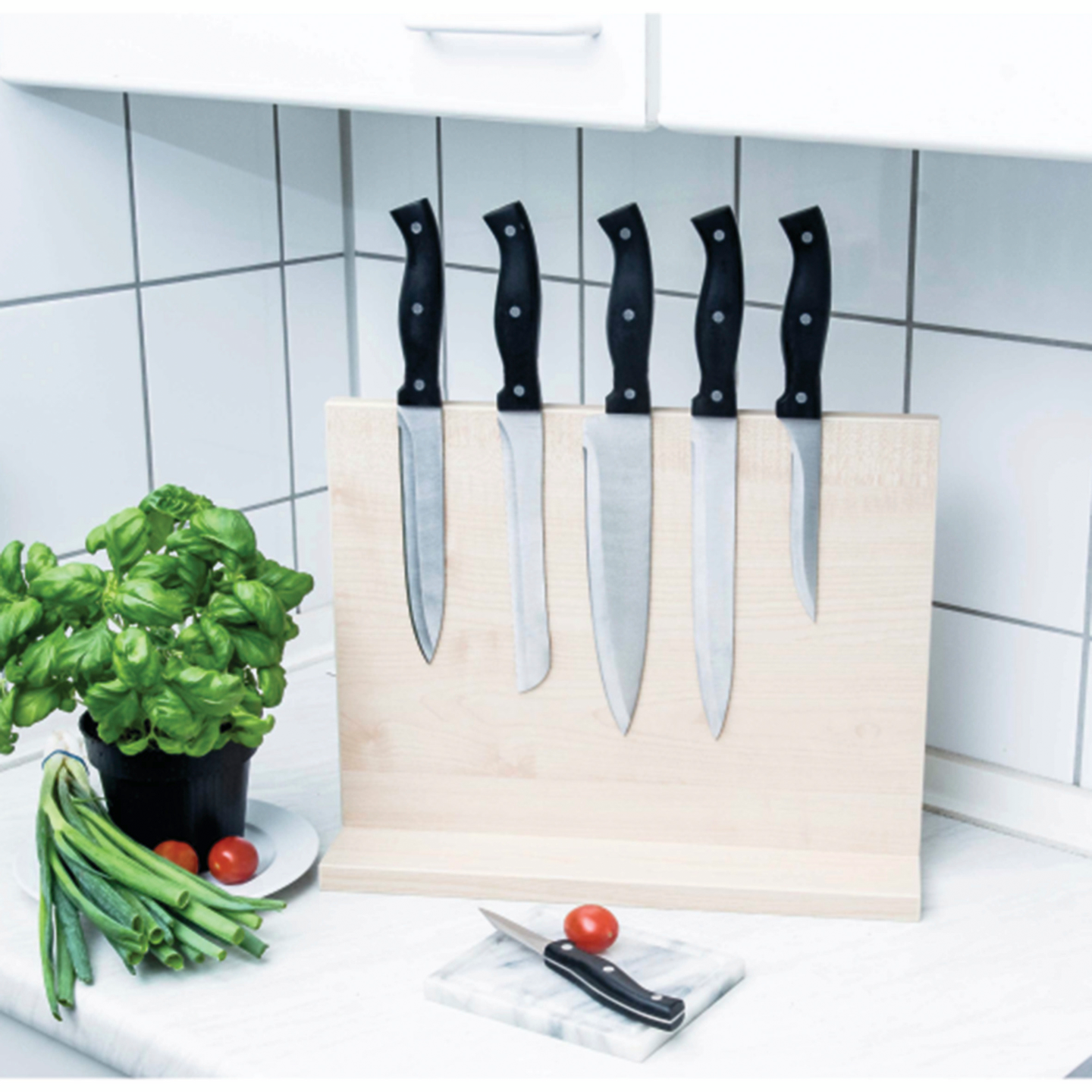 Magneetti Rapid pyöreä 20x5 2kpl