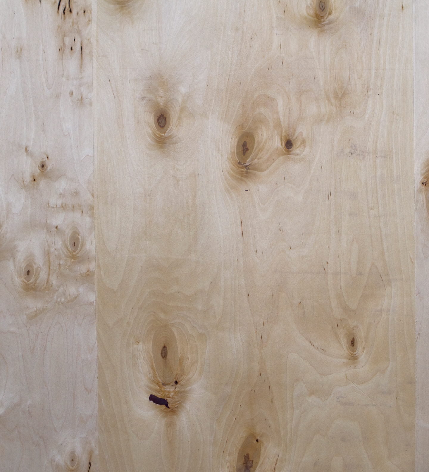 Koivuvaneri Riga Ply BB/WG 1220x2440