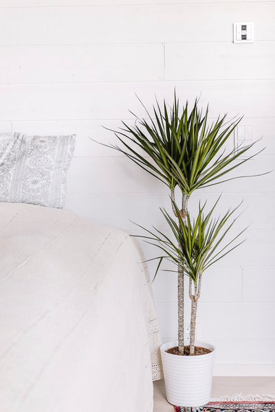 Sisustuspaneeli Siparila STRUKTUURI 15x176x2350 valkoinen STS PP 1,89m²