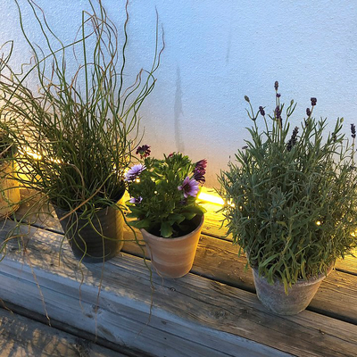 SHAPE 5M 5079 VIT LIGHTSON