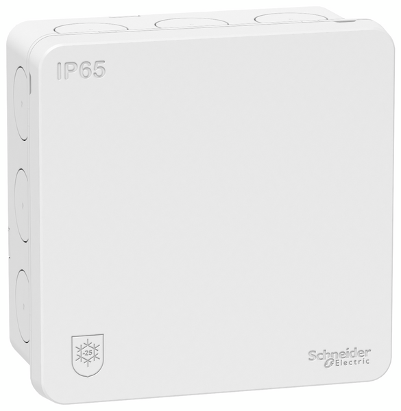 KOPPLINGSDOSA SCHNEIDERELECTRIC IP65 2K VIT DIY
