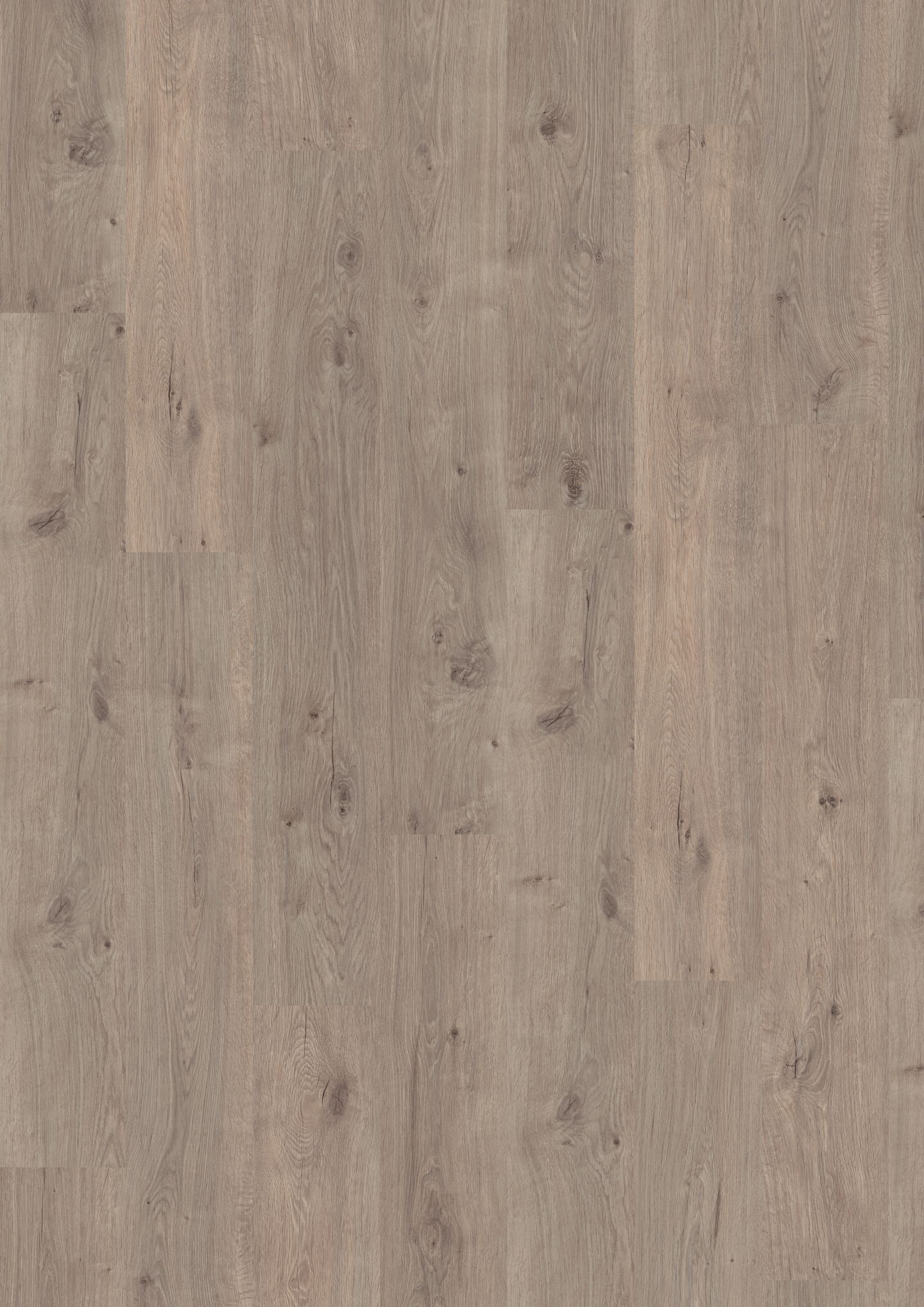 Laminaatti Egger Pro EPL138 tammi Murom harmaa H2833