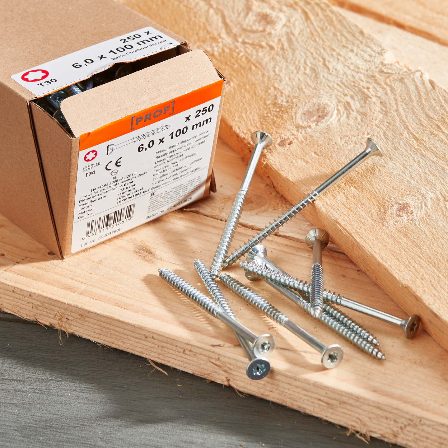 Yleisruuvi PROF Basic T30 Zn uppokanta 6x100 250kpl