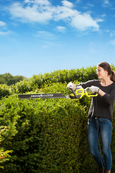 Pensasleikkuri Ryobi RHT8165RL 800W 34mm 65cm