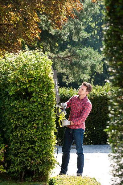 Pensasleikkuri Ryobi RHT8165RL 800W 34mm 65cm