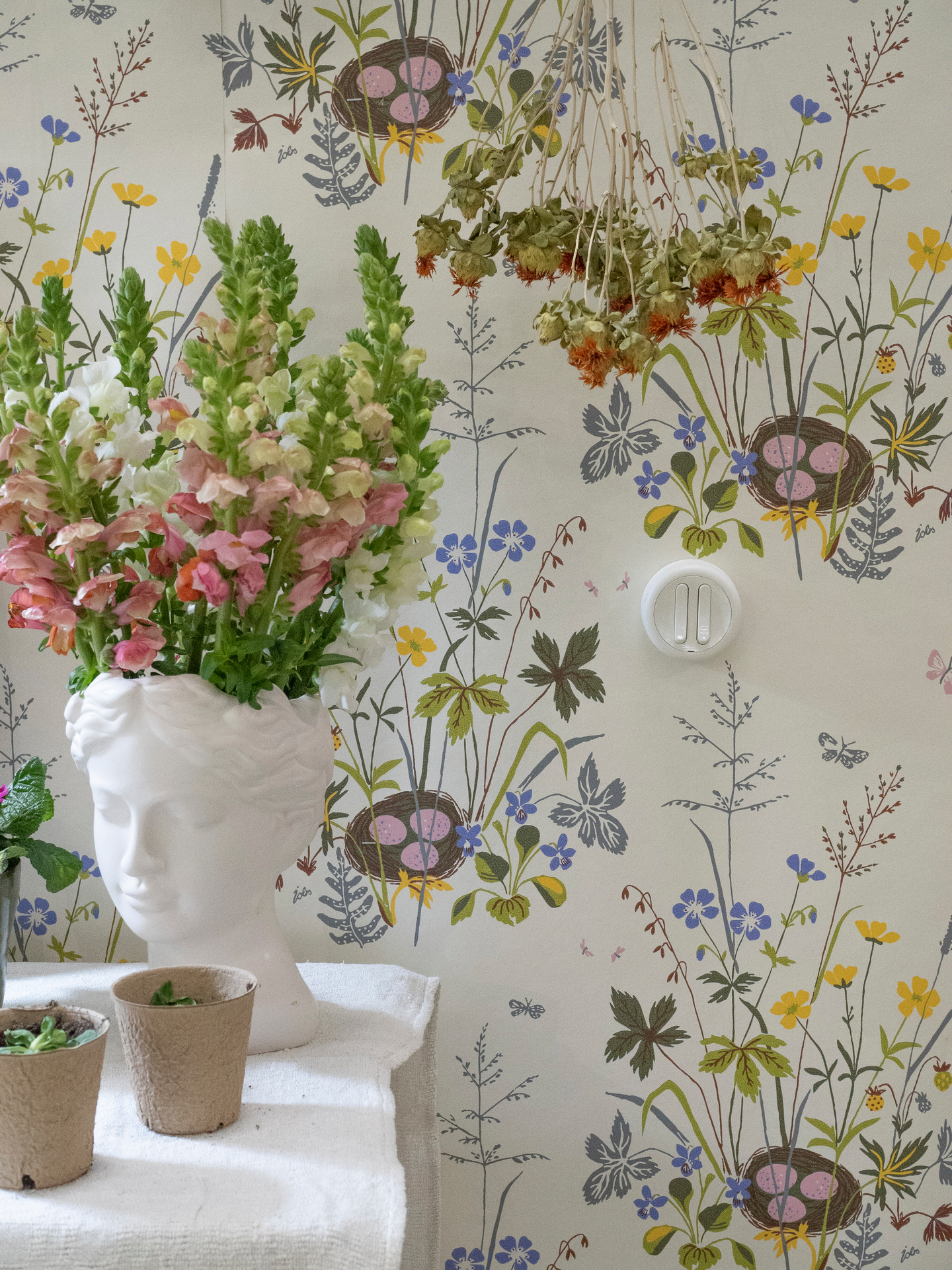 Pintakytkin Schneider Electric Renova 5 IP21 valkoinen