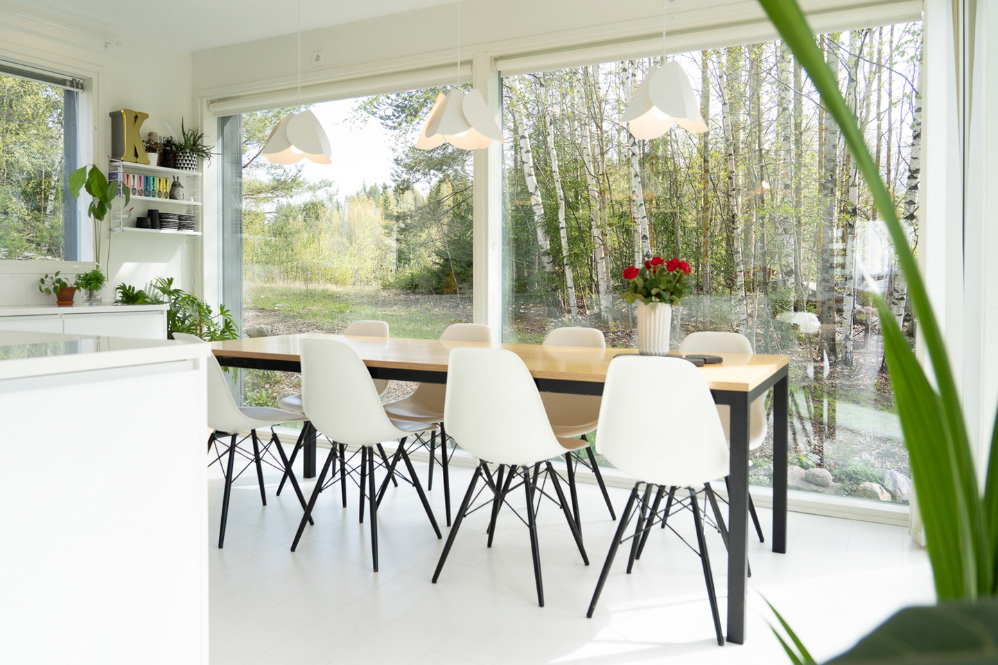 Riippuvalaisin Sessak Lehmus valkoinen